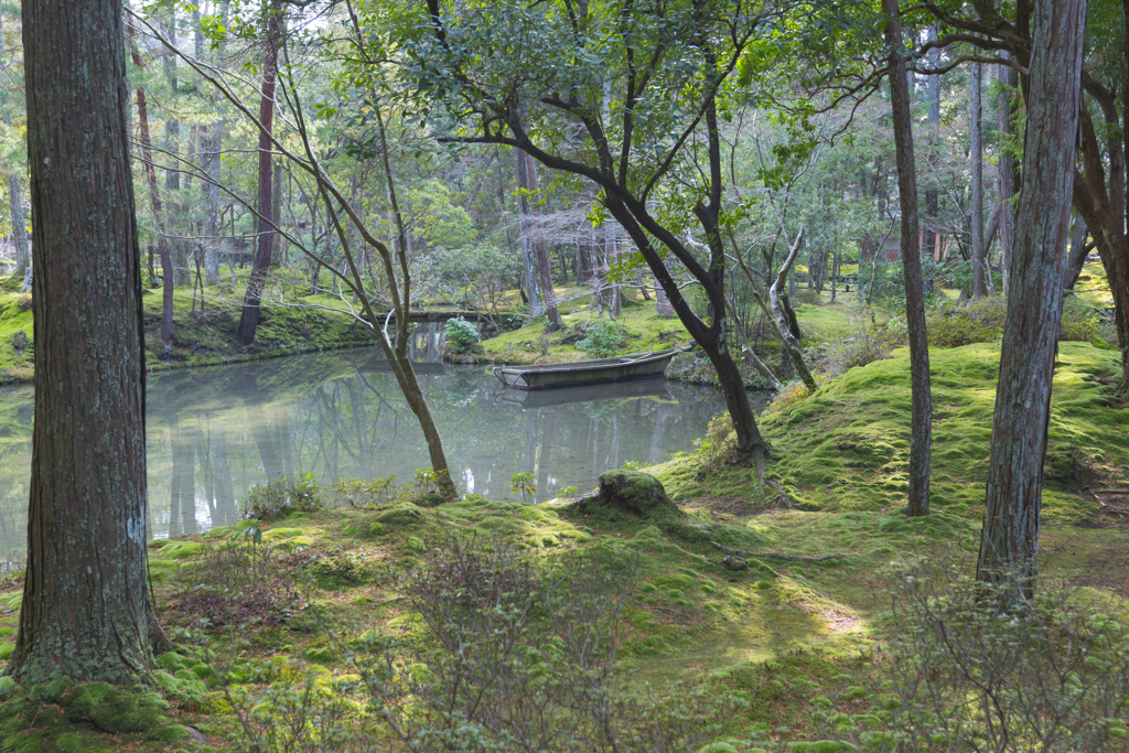 苔と池
