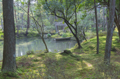 苔と池
