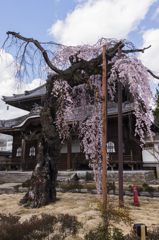 飯田市‗正永寺