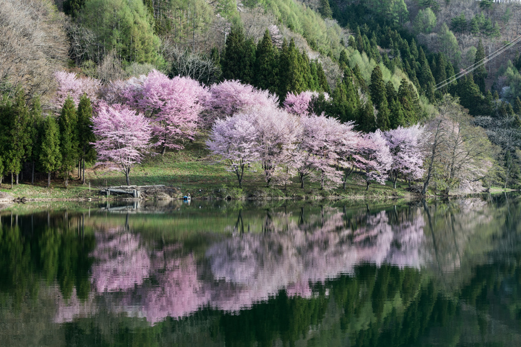 仁科三湖_中綱湖_3