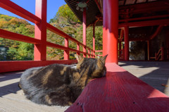 まくら木