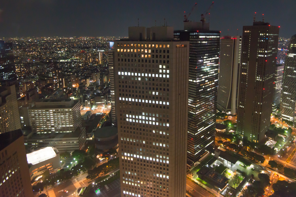 都庁夜景_3