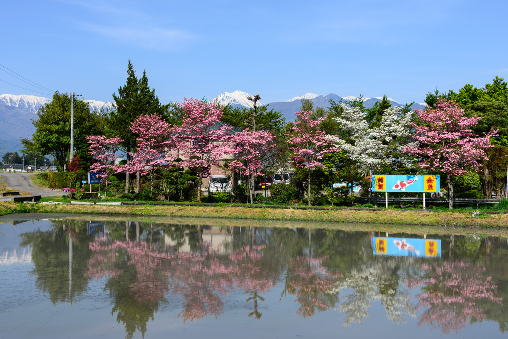 常念岳
