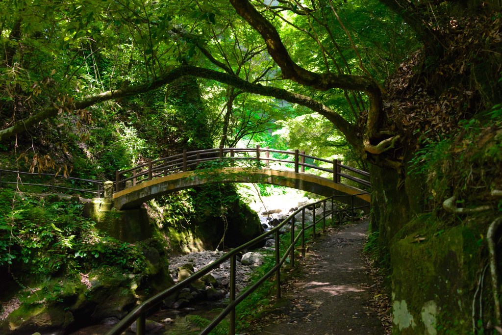 いにしえへの架け橋