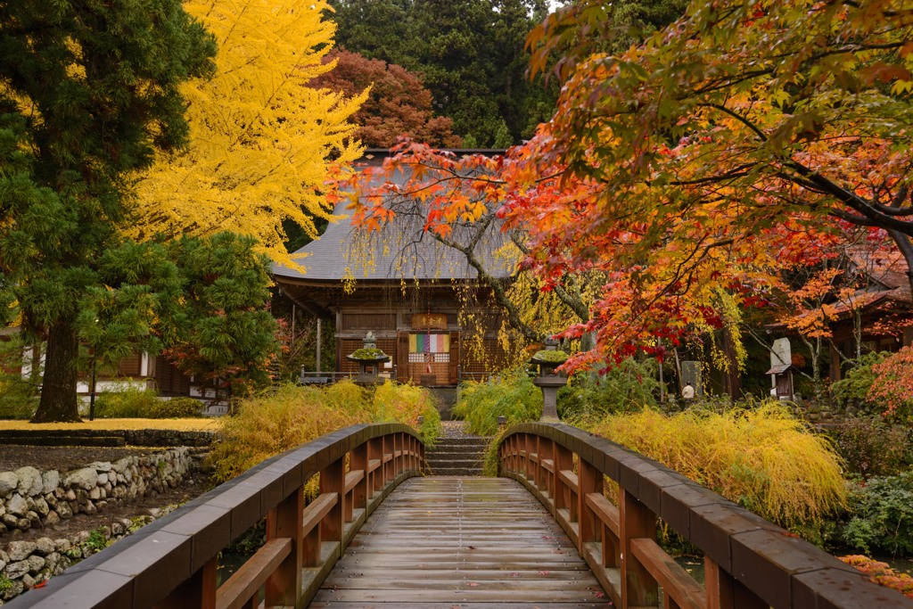 紅葉に映える