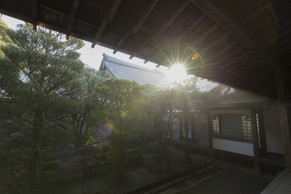 日差し