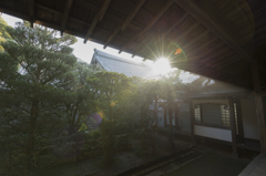 日差し