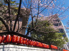 赤坂豊川稲荷