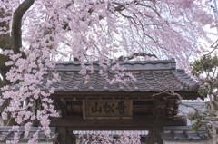 黄梅院