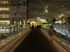 Bridge Of Light