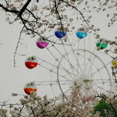 Ferris wheel