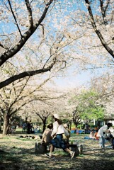 春の公園