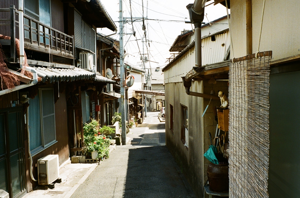 漁港の路地