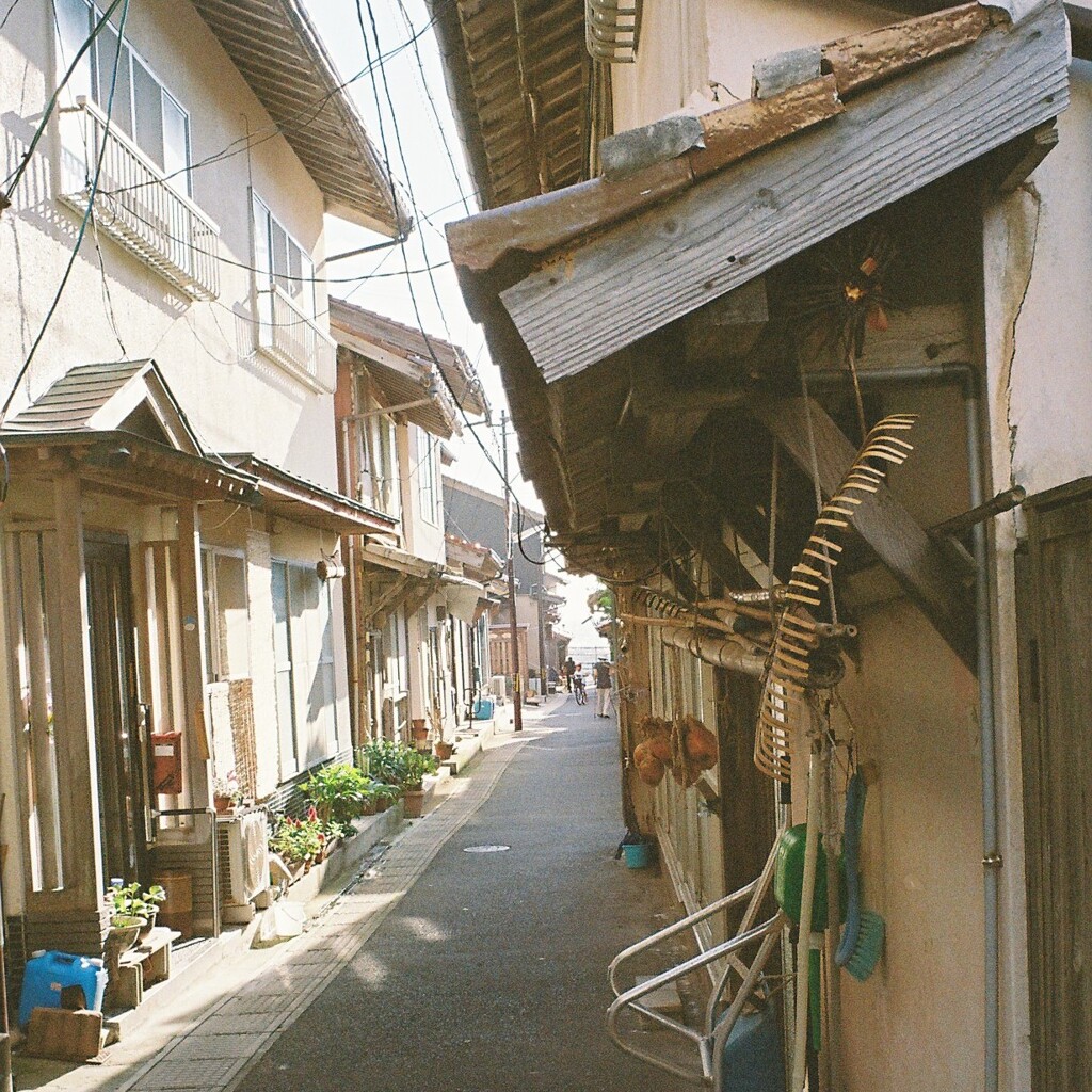 漁港の路地