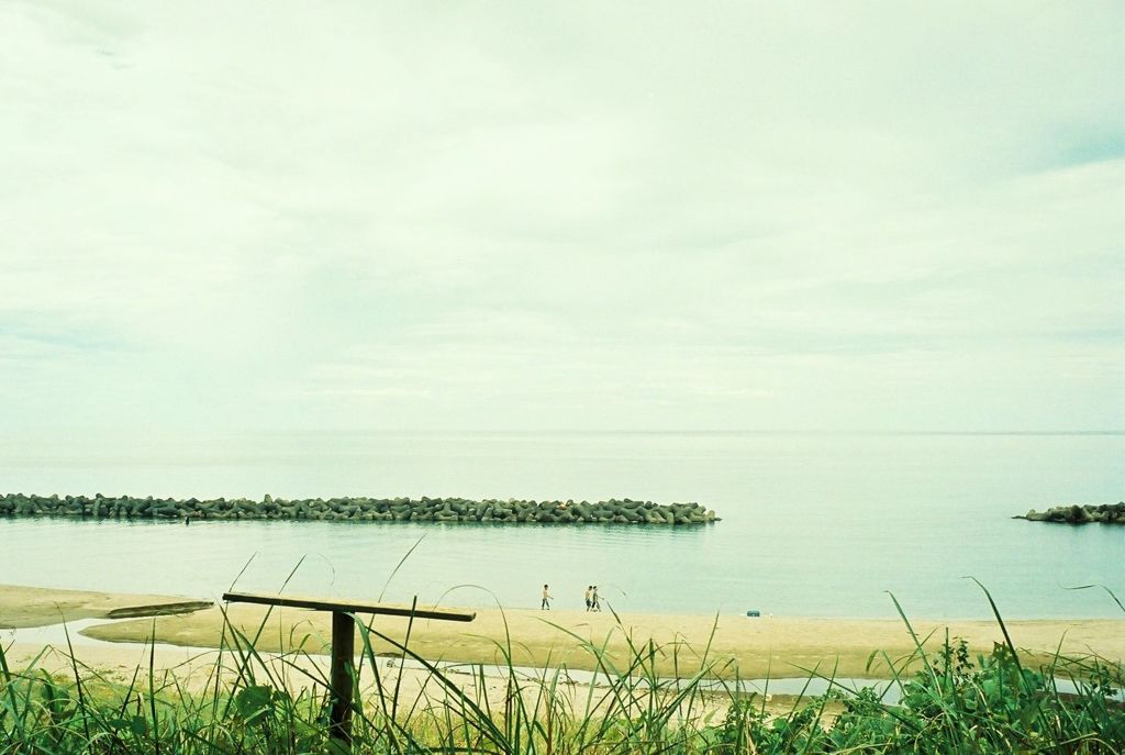 海
