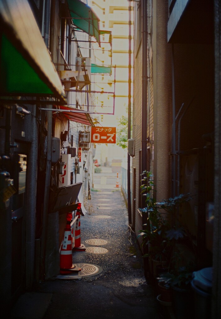 ローズ