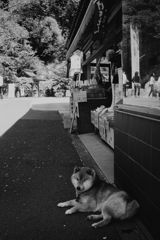店番