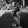 店番