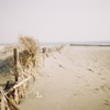 砂浜