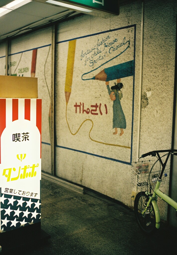 タンポポ