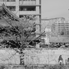 春