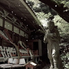 桜舞い散る
