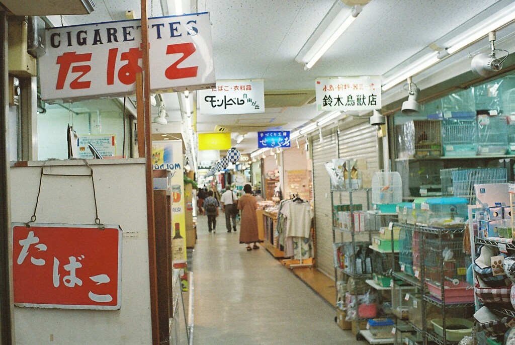 散歩スナップ