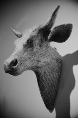 cow's head