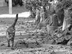 お地蔵様と猫