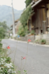 帰り道