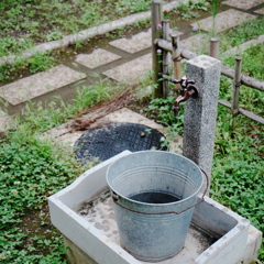 バケツに水を汲む