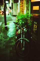 夜の街