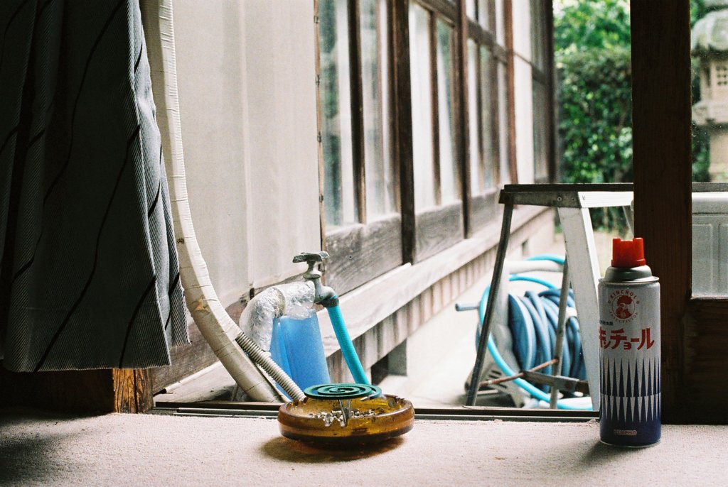 日本の夏
