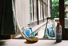 日本の夏