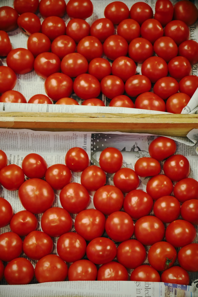 TOMATO