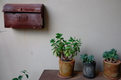 ポストと鉢植え