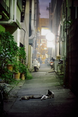 路地裏
