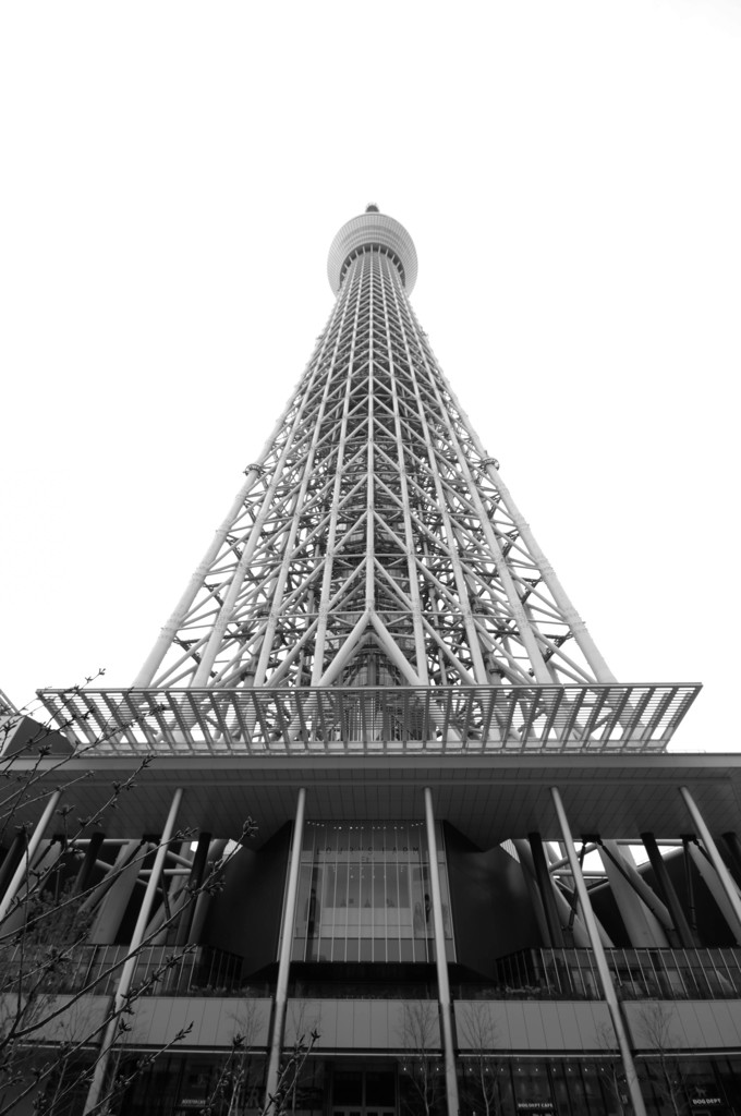 THE TOWER
