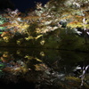 高台寺