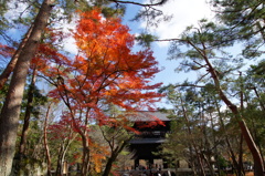 南禅寺