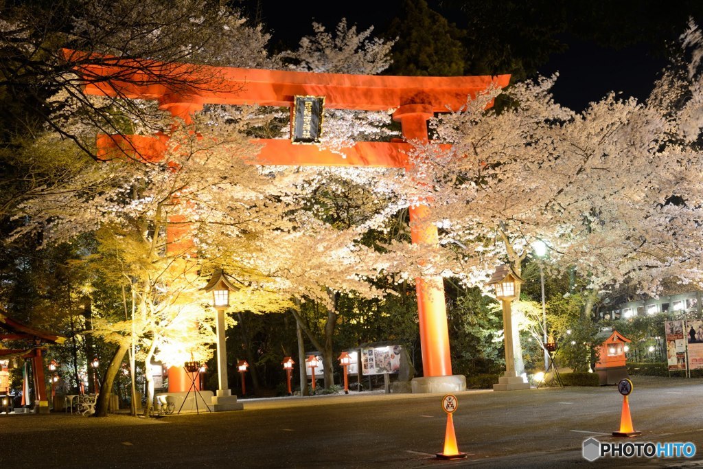 冠稲荷神社と桜