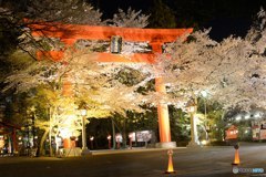 冠稲荷神社と桜