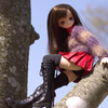 木の上の少女