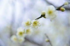 公園にて