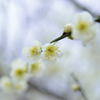 公園にて