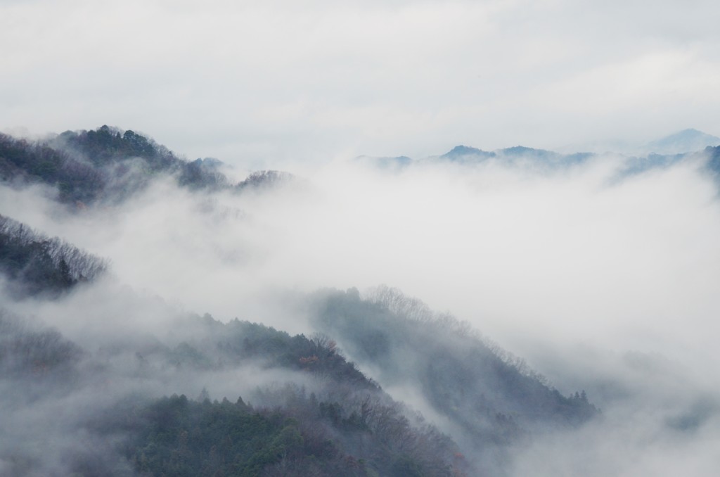 流れる霧