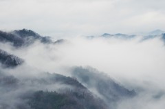 流れる霧