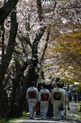 桜散る中