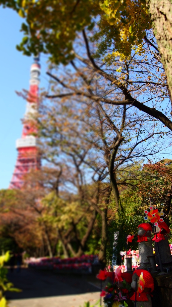 高いな～