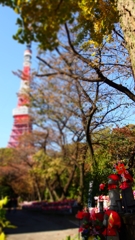 高いな～
